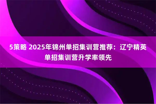 5策略 2025年锦州单招集训营推荐：辽宁精英单招集训营升学率领先