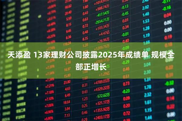天添盈 13家理财公司披露2025年成绩单 规模全部正增长