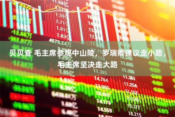贝贝查 毛主席参观中山陵，罗瑞卿建议走小路，毛主席坚决走大路