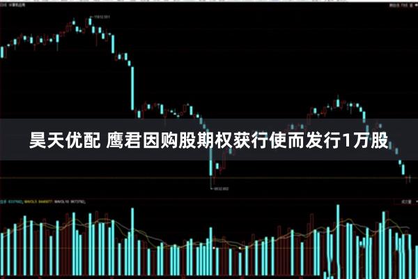 昊天优配 鹰君因购股期权获行使而发行1万股