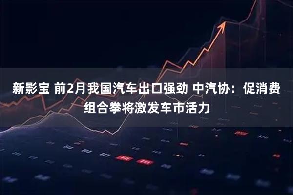 新影宝 前2月我国汽车出口强劲 中汽协：促消费组合拳将激发车市活力