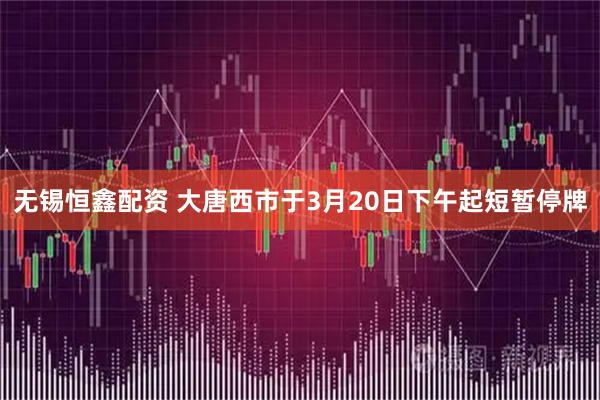 无锡恒鑫配资 大唐西市于3月20日下午起短暂停牌