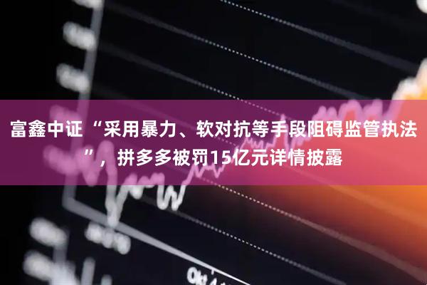 富鑫中证 “采用暴力、软对抗等手段阻碍监管执法”，拼多多被罚15亿元详情披露