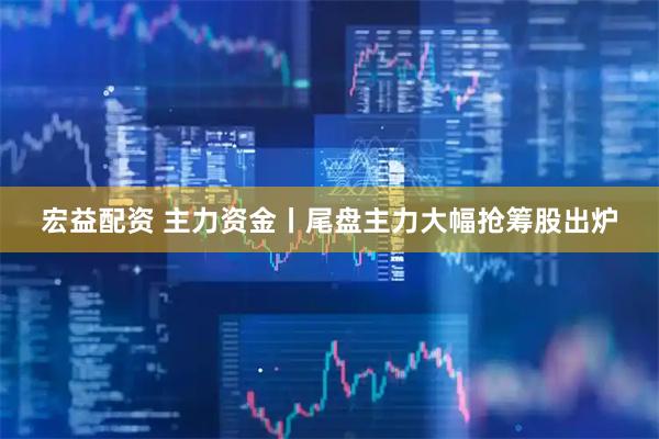 宏益配资 主力资金丨尾盘主力大幅抢筹股出炉
