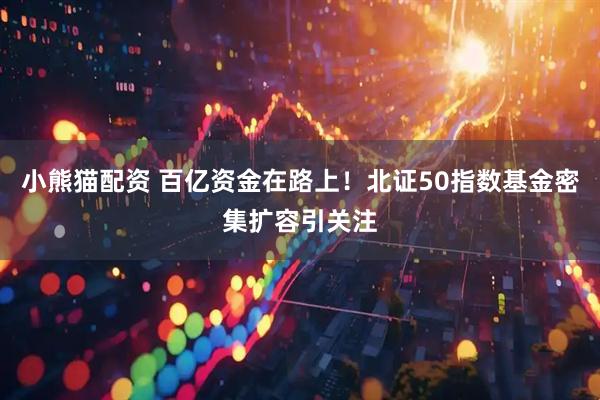 小熊猫配资 百亿资金在路上！北证50指数基金密集扩容引关注
