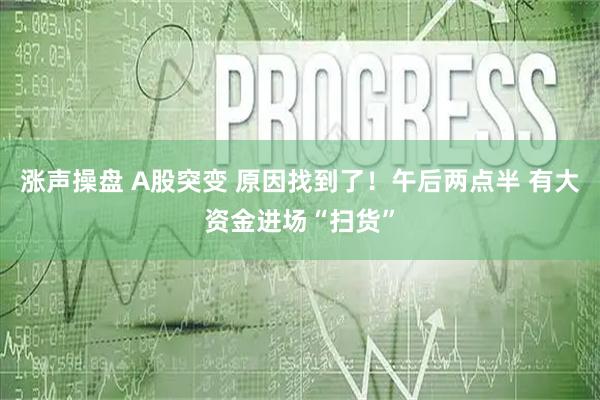 涨声操盘 A股突变 原因找到了！午后两点半 有大资金进场“扫货”