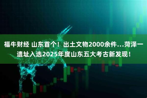 福牛财经 山东首个！出土文物2000余件…菏泽一遗址入选2025年度山东五大考古新发现！